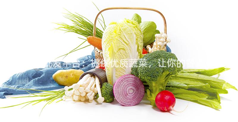 怀远净菜批发平台：提供优质蔬菜，让你的餐桌更健康