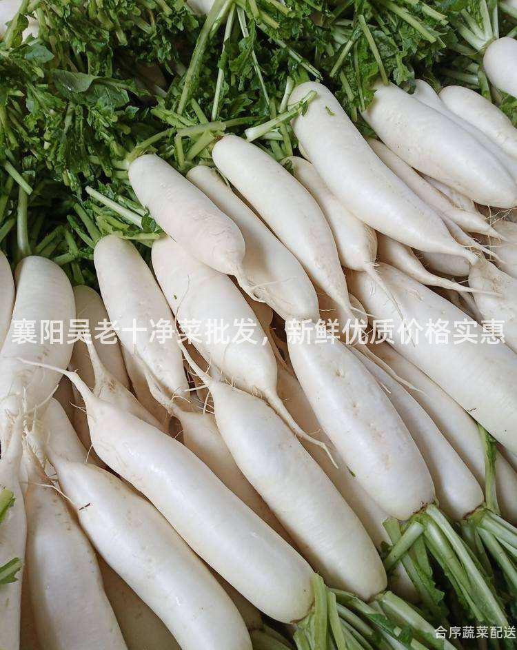 襄阳吴老十净菜批发，新鲜优质价格实惠