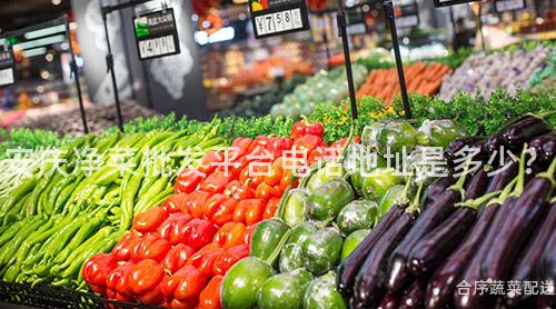 安庆净菜批发平台电话地址是多少？
