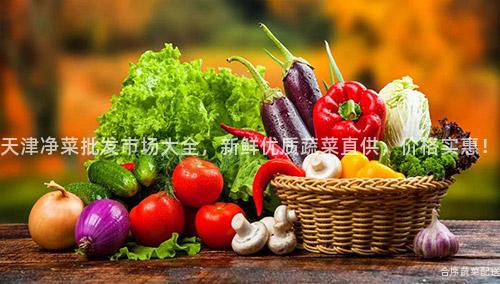 天津净菜批发市场大全，新鲜优质蔬菜直供，价格实惠！