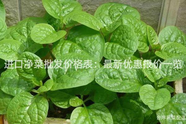 进口净菜批发价格表：最新优惠报价一览