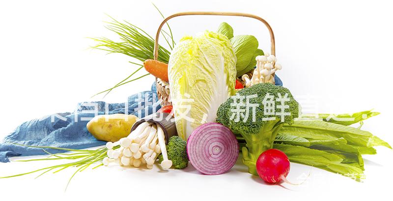 净菜档口批发，新鲜直达！