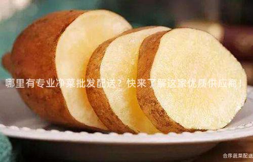 哪里有专业净菜批发配送？快来了解这家优质供应商！