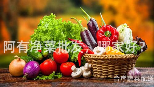 阿有净菜批发，哪家好？