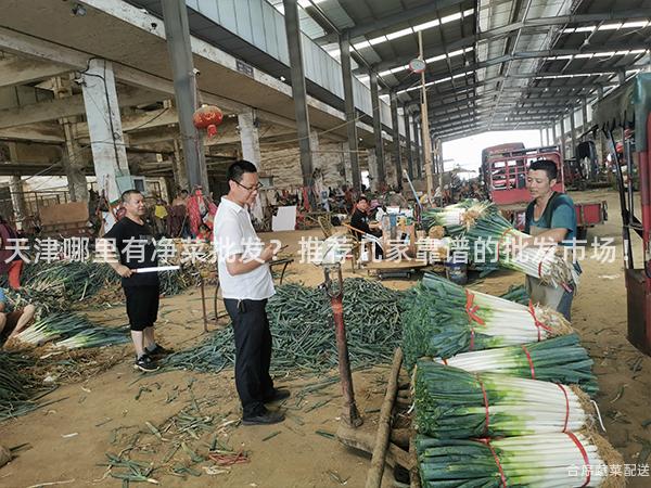 天津哪里有净菜批发？推荐几家靠谱的批发市场！