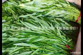 净菜生产设备批发价格多少？快来了解最新报价！