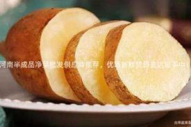 河南半成品净菜批发供应商推荐，优质新鲜货源直达您手中！