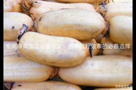 专用净菜加工设备批发，提高餐厅效率的必备选择