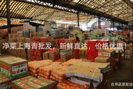 净菜上海青批发，新鲜直达，价格优惠！