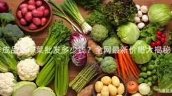 半成品菜净菜批发多少钱？全网最新价格大揭秘！