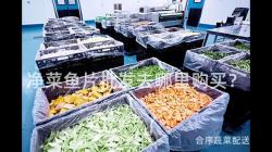 净菜鱼片批发去哪里购买？