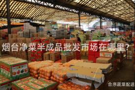 烟台净菜半成品批发市场在哪里？