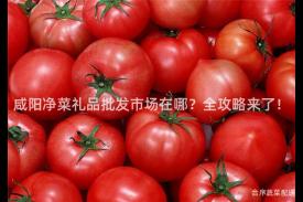 咸阳净菜礼品批发市场在哪？全攻略来了！