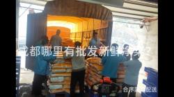 成都哪里有批发新鲜净菜？