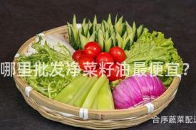 哪里批发净菜籽油最便宜？