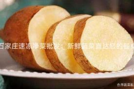 石家庄速冻净菜批发：新鲜蔬菜直达您的餐桌