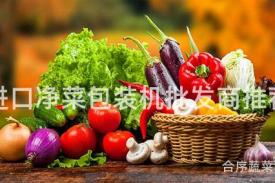 进口净菜包装机批发商推荐
