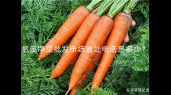 慈溪净菜批发市场地址电话是多少？