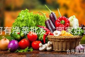 阿有净菜批发，哪家好？