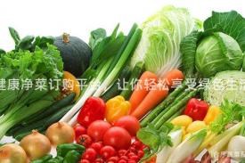 健康净菜订购平台，让你轻松享受绿色生活