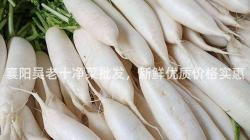 襄阳吴老十净菜批发，新鲜优质价格实惠