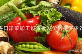 进口净菜加工设备批发价格是多少？