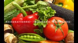 南京净菜批发市场有哪些？了解这些批发市场，轻松采购优质净菜！