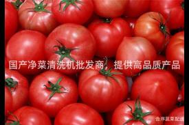 国产净菜清洗机批发商，提供高品质产品