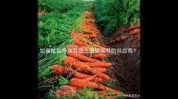 如皋批发净菜有哪些值得推荐的供应商？