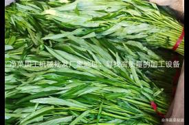 净菜加工机械批发厂家地址：寻找高质量的加工设备