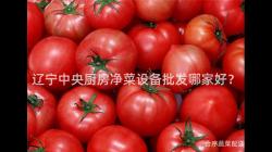 辽宁中央厨房净菜设备批发哪家好？
