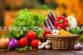 新发地净菜批发，优质蔬菜直供，价格实惠！