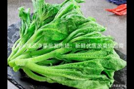 珠海半成品净菜批发市场：新鲜优质蔬菜供应商