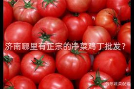 济南哪里有正宗的净菜鸡丁批发？