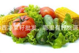 黔西净菜籽批发，哪里有好货源？