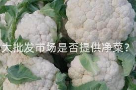 大批发市场是否提供净菜？