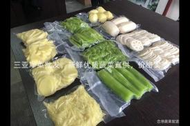 三亚净菜批发，新鲜优质蔬菜直供，价格实惠！
