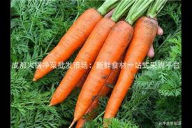 成都火锅净菜批发市场：新鲜食材一站式采购平台