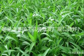 哪家净菜加工机械批发厂家口碑好？