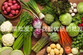 哪里有净菜批发？寻找最优质的批发商！