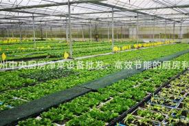 贵州中央厨房净菜设备批发：高效节能的厨房利器