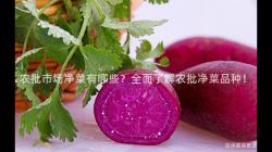 农批市场净菜有哪些？全面了解农批净菜品种！