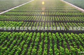 常州晋陵净菜批发电话号码及地址查询，品质保证！
