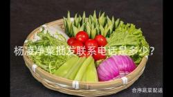 杨凌净菜批发联系电话是多少？