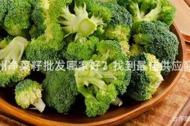 郑州净菜籽批发哪家好？找到最佳供应商！