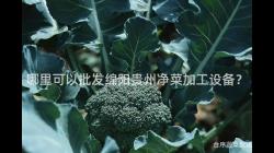 哪里可以批发绵阳贵州净菜加工设备？