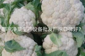 哪家净菜生产设备批发厂家口碑好？