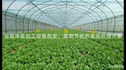 汕尾净菜加工设备批发：高效节能的菜品处理方案