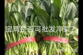 宝鸡是否可批发净菜？