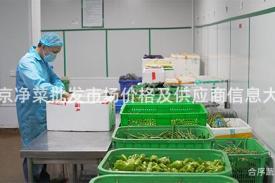 北京净菜批发市场价格及供应商信息大全